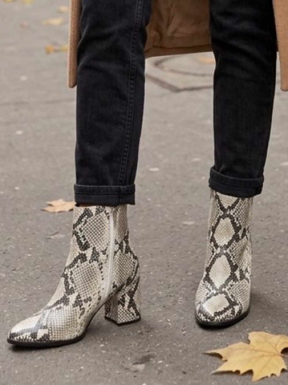 Madden Girl Snake Print Chunky Heel Ankle Boots Pointed Toe Booties 8.5M